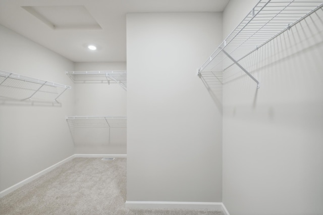 walk in closet featuring carpet flooring