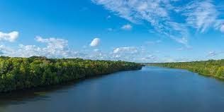 water view featuring a heavily wooded area