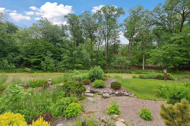1989 Dwight Ln, Minnetonka, MN 55305 - photo 54