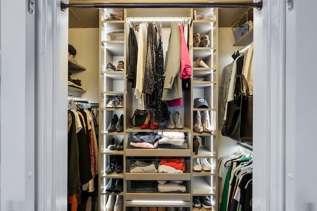 view of spacious closet