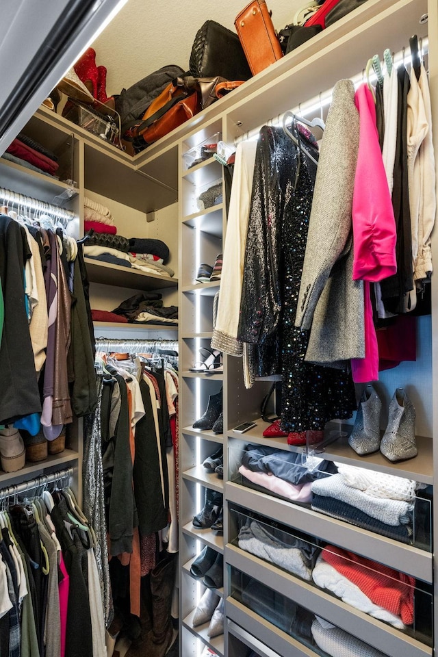 view of spacious closet