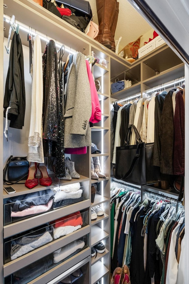 view of walk in closet