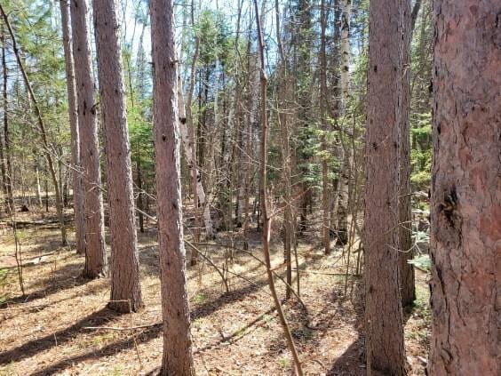 TBD 695th Ave, Roosevelt, MN 56673