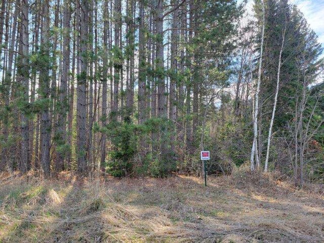 TBD 695th Ave, Roosevelt, MN 56673