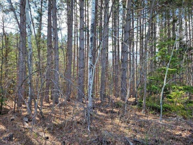 TBD 695th Ave, Roosevelt, MN 56673