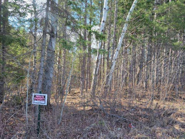 TBD 695th Ave, Roosevelt, MN 56673