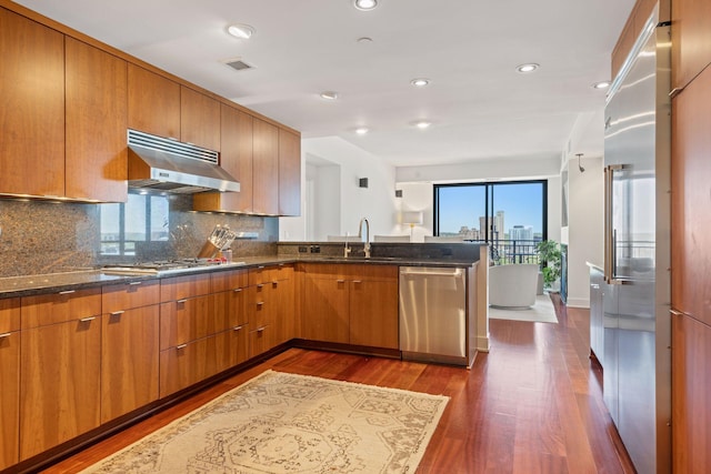 kitchen featuring appliances with stainless steel finishes, a sink, under cabinet range hood, dark wood finished floors, and dark stone counters