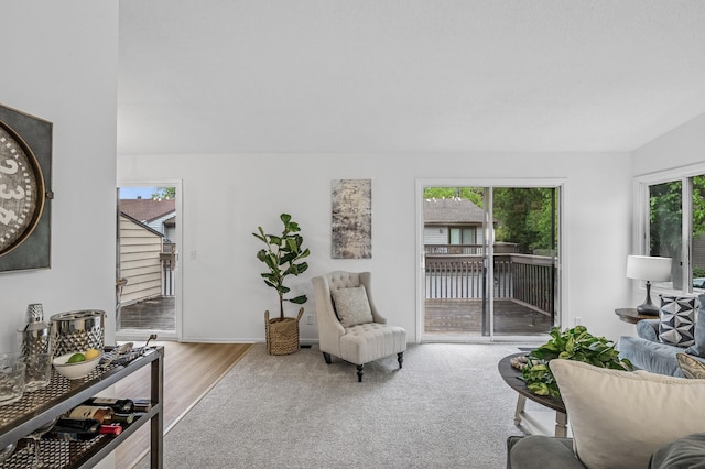 135 Eagle Lake Dr, Maple Grove, MN 55369 - living room featuring wood finished floors and baseboards