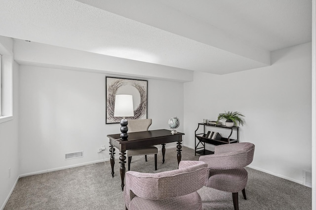 135 Eagle Lake Dr, Maple Grove, MN 55369 - carpeted office space with baseboards