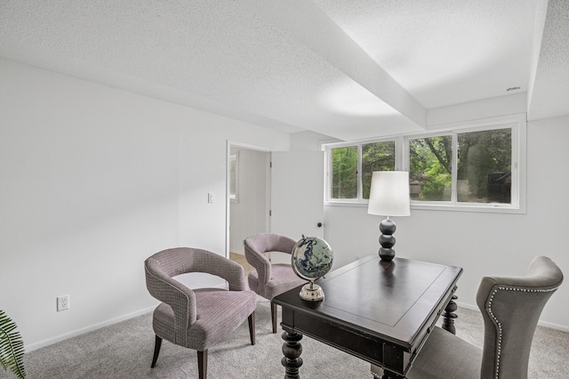 135 Eagle Lake Dr, Maple Grove, MN 55369 - home office with carpet flooring, a textured ceiling, and baseboards