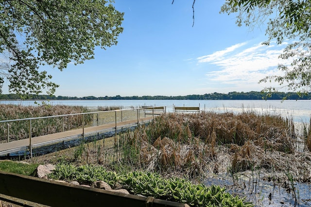 135 Eagle Lake Dr, Maple Grove, MN 55369 - water view