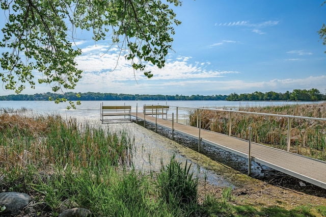 135 Eagle Lake Dr, Maple Grove, MN 55369 - dock with a water view