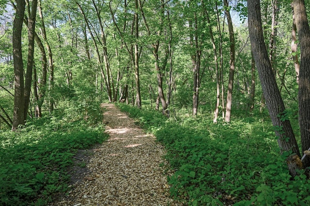 135 Eagle Lake Dr, Maple Grove, MN 55369 - view of wooded area