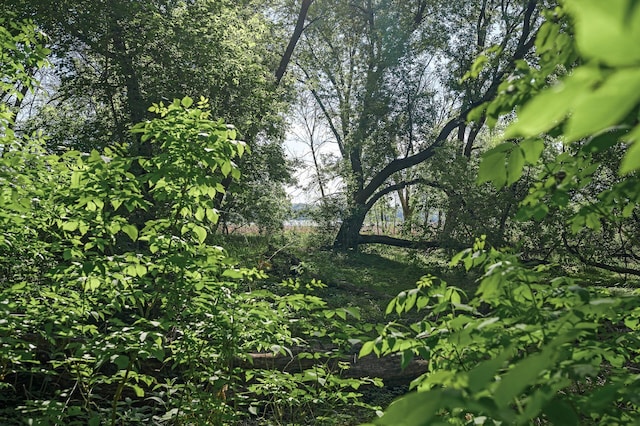 135 Eagle Lake Dr, Maple Grove, MN 55369 - view of undeveloped land