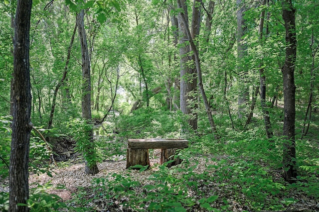 135 Eagle Lake Dr, Maple Grove, MN 55369 - view of woods