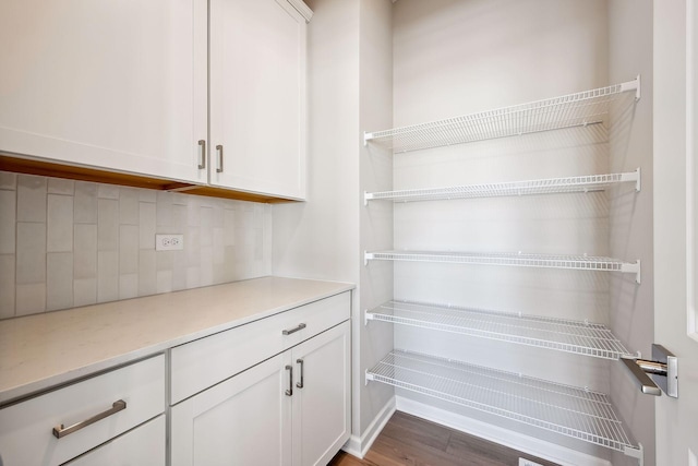 7197 Large Ave NE, Otsego, MN 55301 - view of pantry