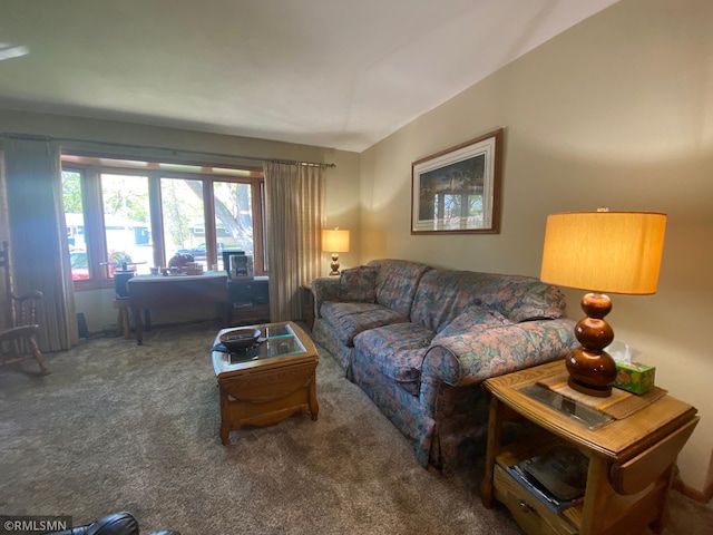 2828 Matilda St, Roseville, MN 55113 - view of carpeted living area