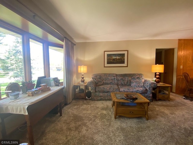 2828 Matilda St, Roseville, MN 55113 - view of carpeted living room