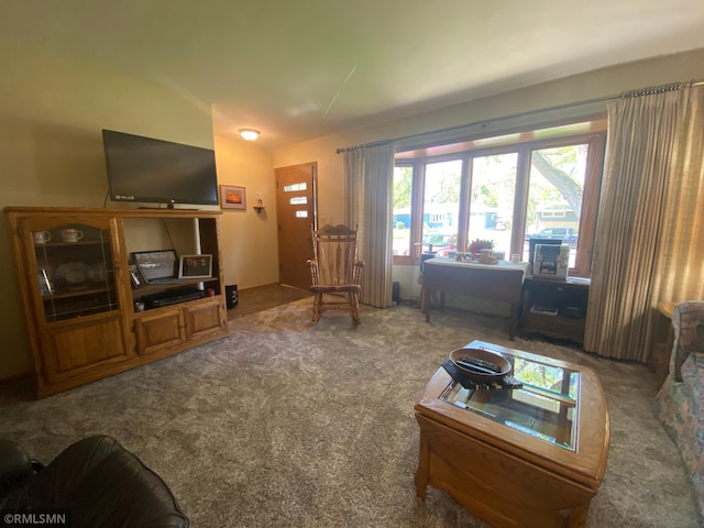 2828 Matilda St, Roseville, MN 55113 - carpeted living area with vaulted ceiling