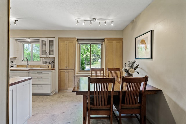 dining area featuring plenty of natural light and a textured ceiling