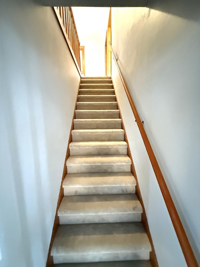 455 3rd St SE, Cokato, MN 55321 - view of staircase