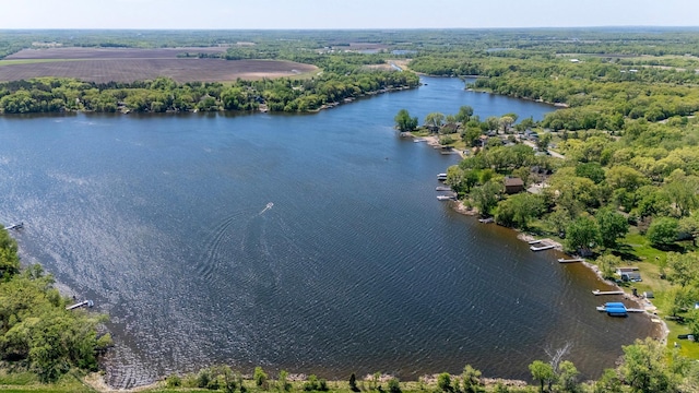 aerial view of a large body of water and a forest