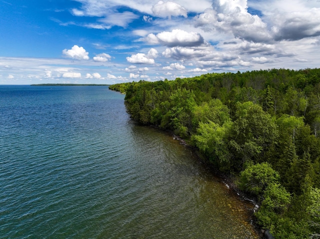 TBD White Rock Ln, Boy Lake Twp, MN 56655