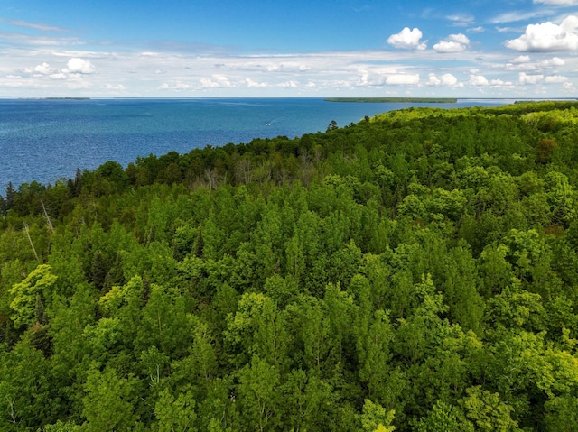 TBD White Rock Ln, Boy Lake Twp, MN 56655