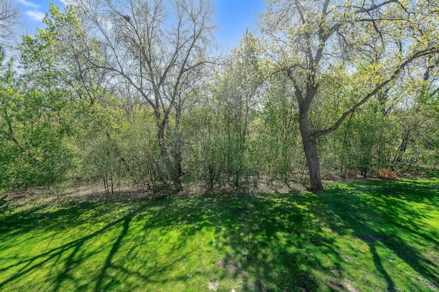 view of grassy yard with a view of trees