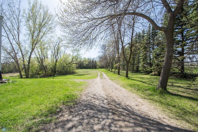 6673 230th St N, Cromwell Twp, MN 56549 - view of road