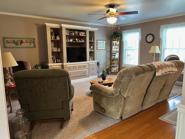 12176 2nd St, Northome, MN 56661 - living area with a ceiling fan, crown molding, and wood finished floors