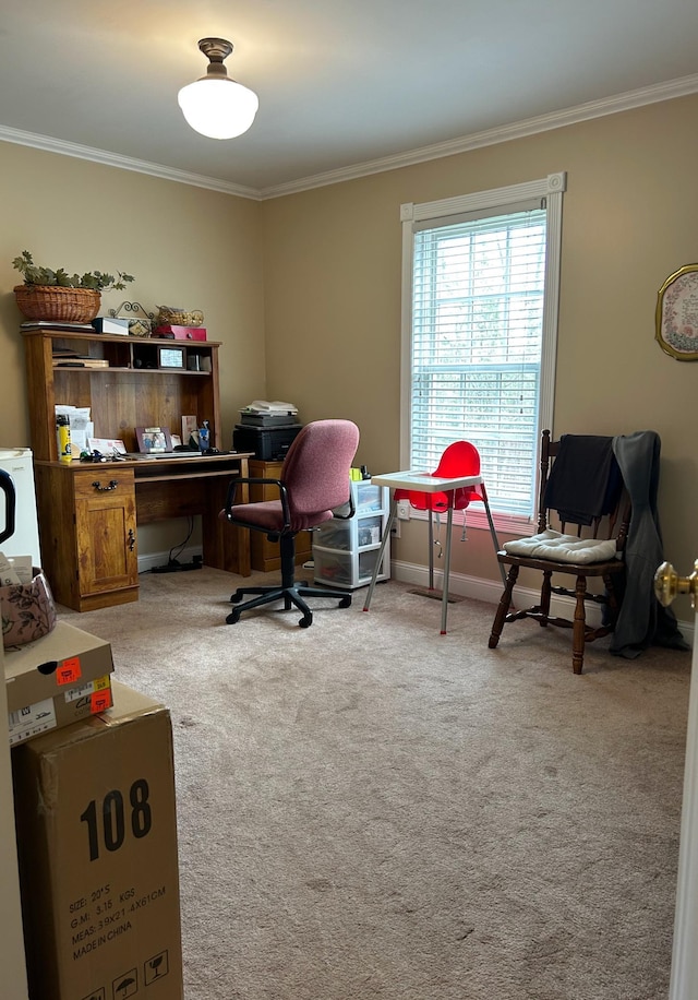 12176 2nd St, Northome, MN 56661 - carpeted home office featuring ornamental molding and baseboards