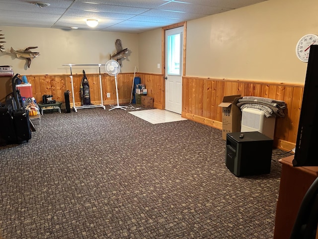 12176 2nd St, Northome, MN 56661 - exercise area with a wainscoted wall, carpet, and wooden walls