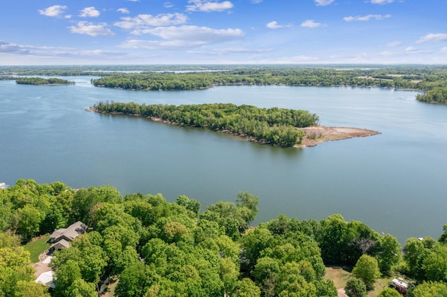 49935 Acacia Trl, Nessel Twp, MN 55080 - drone / aerial view of a nearby body of water and a forest