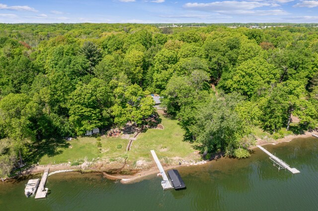 49935 Acacia Trl, Nessel Twp, MN 55080 - aerial view of a forest and a large body of water