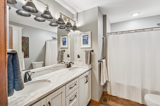 49935 Acacia Trl, Nessel Twp, MN 55080 - full bathroom featuring toilet, wood finished floors, double vanity, and shower / tub combo