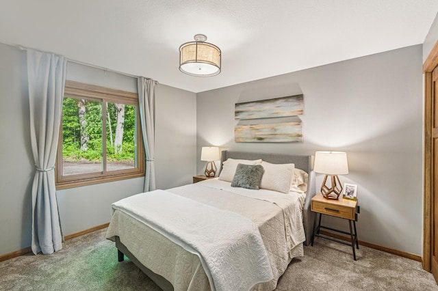 49935 Acacia Trl, Nessel Twp, MN 55080 - carpeted bedroom featuring baseboards