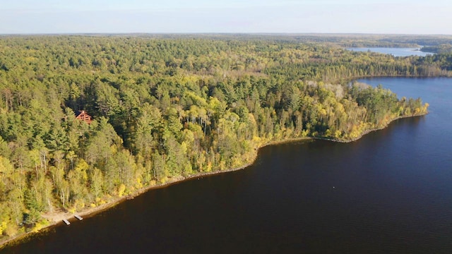 7236 Far N Rd, Buyck, MN 55771 - aerial overview of property's location with a heavily wooded area and a nearby body of water