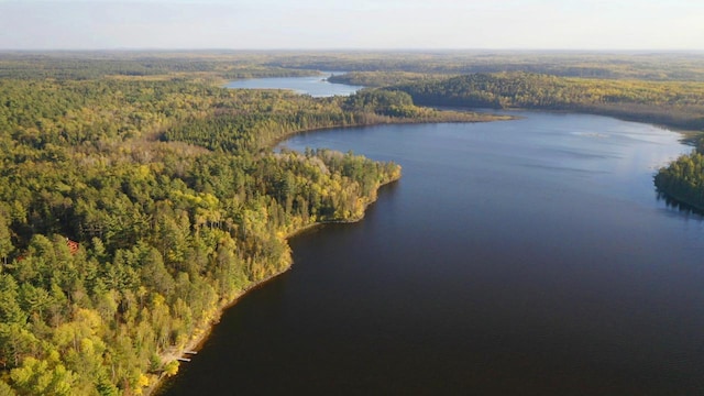 7236 Far N Rd, Buyck, MN 55771 - drone / aerial view of a forest and a nearby body of water