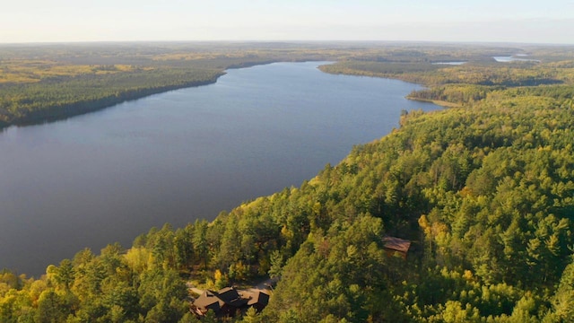 7236 Far N Rd, Buyck, MN 55771 - bird's eye view of a forest and a nearby body of water