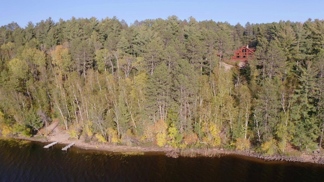 7236 Far N Rd, Buyck, MN 55771 - view of property location featuring a forest and a large body of water