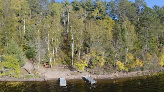 7236 Far N Rd, Buyck, MN 55771 - view of wooded area featuring a water view