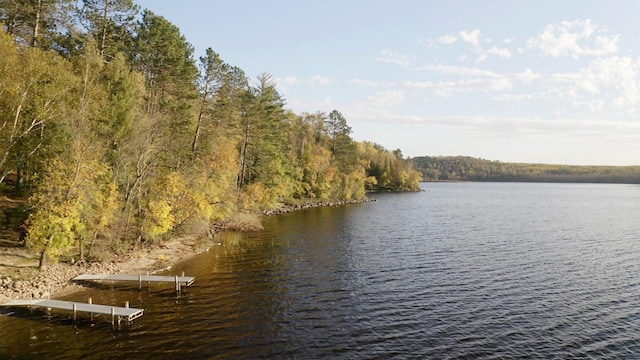7236 Far N Rd, Buyck, MN 55771 - water view with a boat dock and a heavily wooded area