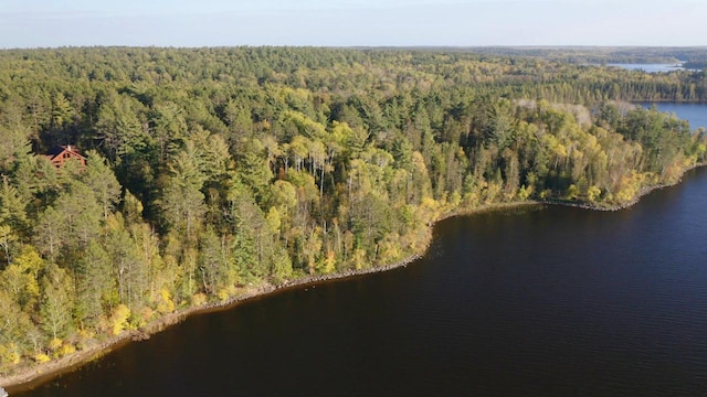7236 Far N Rd, Buyck, MN 55771 - aerial overview of property's location with a forest and a large body of water