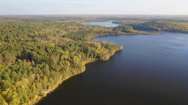 7236 Far N Rd, Buyck, MN 55771 - aerial overview of property's location with a heavily wooded area and a large body of water