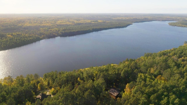 7236 Far N Rd, Buyck, MN 55771 - aerial view of property's location featuring a heavily wooded area and a nearby body of water