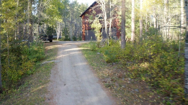 7236 Far N Rd, Buyck, MN 55771 - view of dirt / gravel road with a view of trees