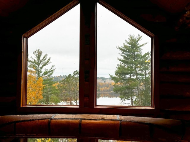 7236 Far N Rd, Buyck, MN 55771 - detailed view of a water view