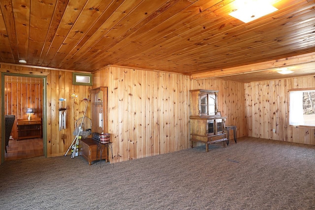 3165 Randa Rd, Orr, MN 55771 - misc room with carpet, wood ceiling, and wood walls