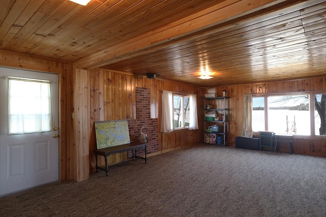 3165 Randa Rd, Orr, MN 55771 - living area with carpet, wooden walls, plenty of natural light, and wood ceiling